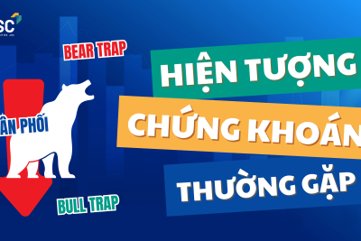 Đầu tư chứng khoán cho người mới bắt đầu #1: Giải mã các bẫy thị trường (Bull trap, Bear trap…)