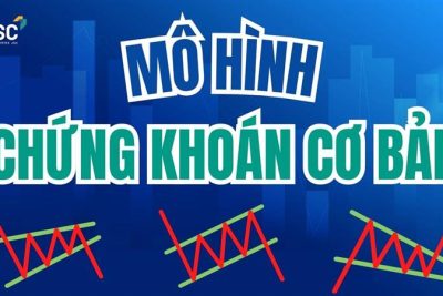 Đầu tư chứng khoán cho người mới bắt đầu #2 | Hiểu nhanh các mô hình chứng khoán cơ bản