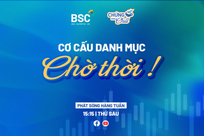 CƠ CẤU DANH MỤC – CHỜ THỜI!| CHỨNG AND CHILL