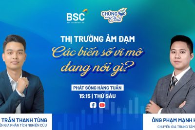 THỊ TRƯỜNG ẢM ĐẠM, CÁC BIẾN SỐ VĨ MÔ ĐANG NÓI GÌ?| CHỨNG AND CHILL
